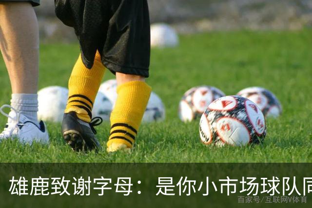 雄鹿致谢字母：是你小市场球队同样能傲视群雄 感谢你付出的一切
